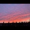 juliapawelec129